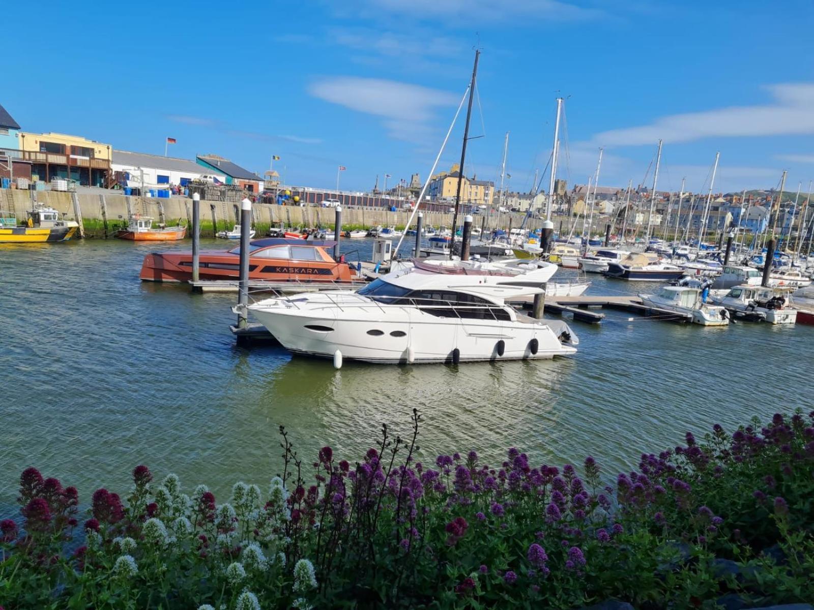 Spacious Luxury Escape With Sea Views And Pet Friendly At Clarach Bay Aberystwyth Zewnętrze zdjęcie